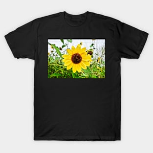 Wyoming Summer Bloom T-Shirt